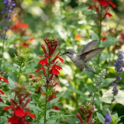 How to Attract Hummingbirds