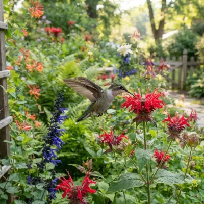 Hummingbird-Friendly Yard