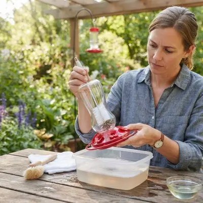 How to Clean Hummingbird Feeders