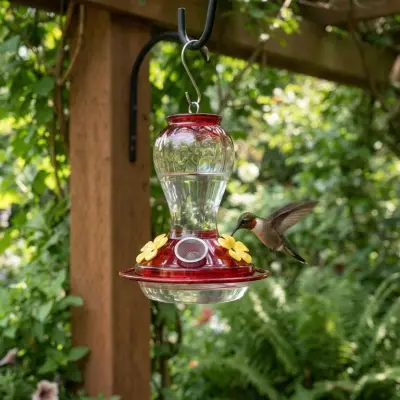 Keep Ants and Bees Away from Feeders