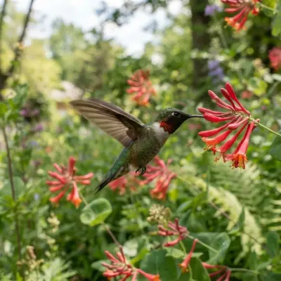 When Will Hummingbirds Arrive?