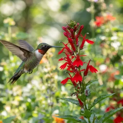 Hummingbird Nectar Calculator