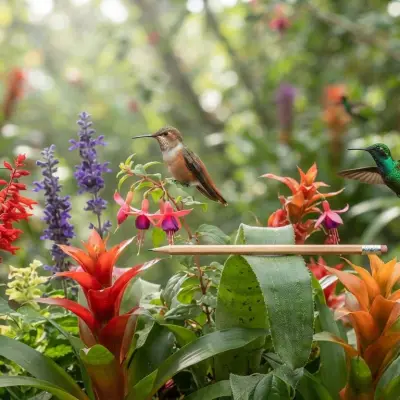 Hummingbird Size Comparison