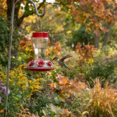 Will Leaving Hummingbird Feeders Out Stop Them From Migrating?