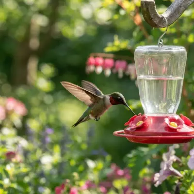 Should I Use Red Dye in My Hummingbird Nectar?