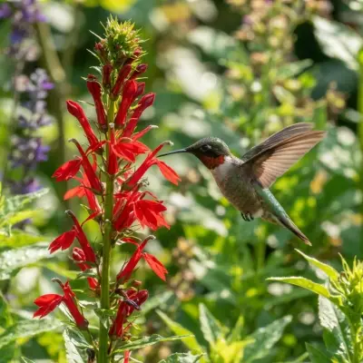 Which Flowers Do Hummingbirds Like Best?